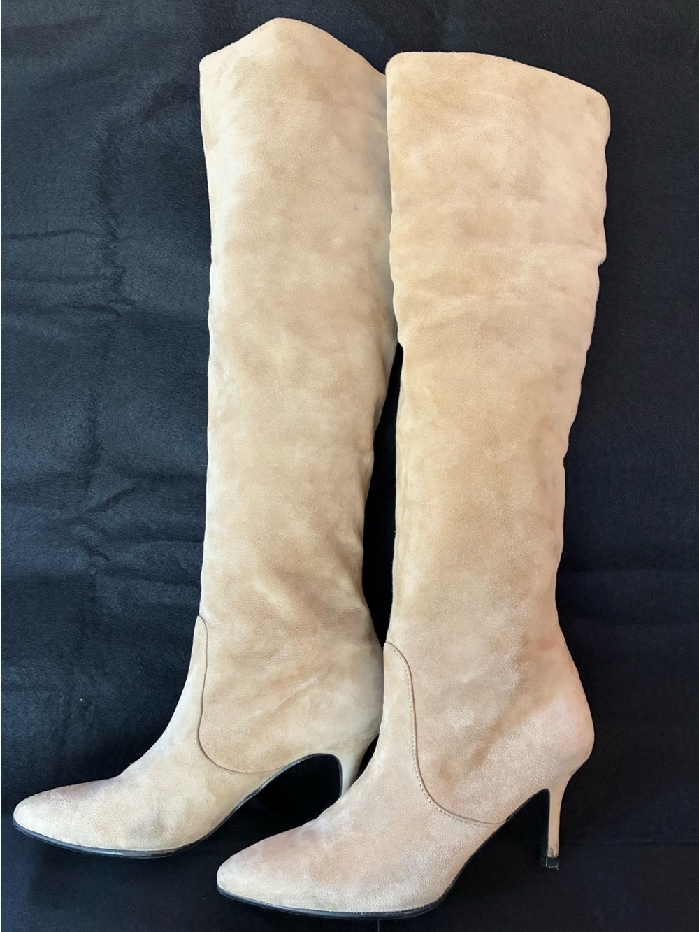 Stuart Weitzman Taupe Suede Over-the-Knee Pointed-Toe Boots